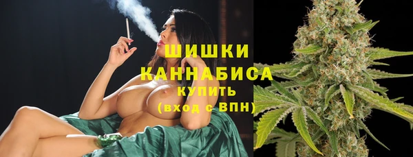 индика Лиски