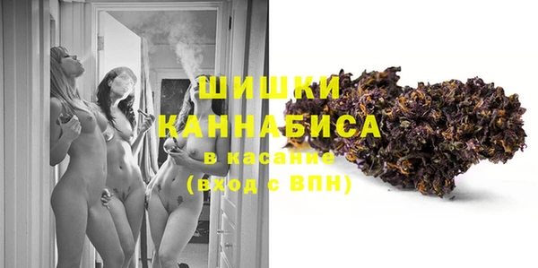 индика Липки