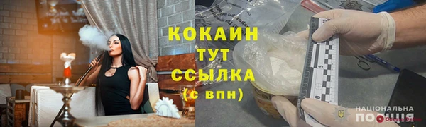 индика Лиски