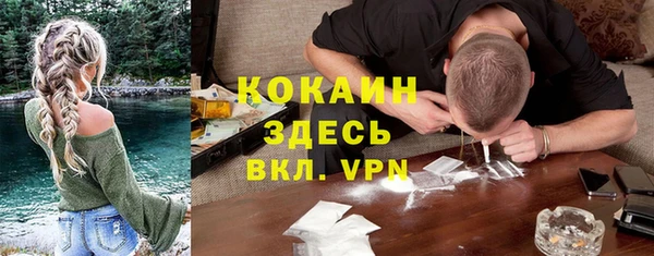 индика Липки