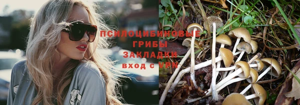 индика Лиски