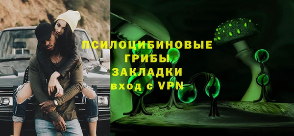 индика Липки