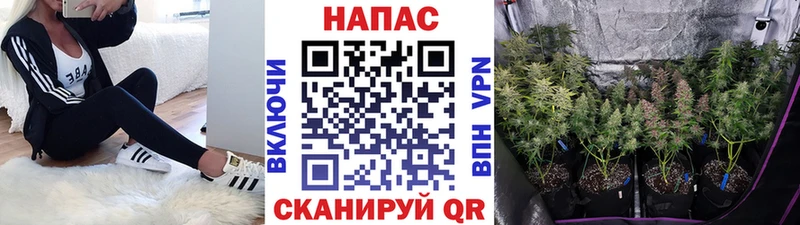 Купить  Люберцы  Канабис Bruce Banner 
